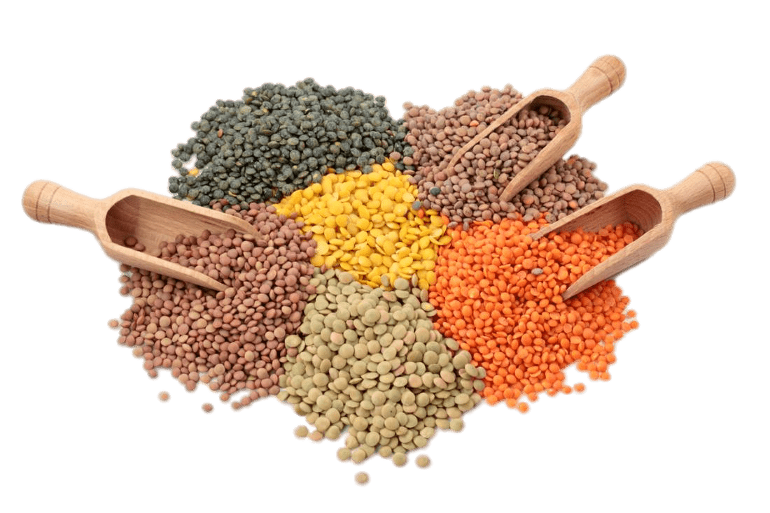 Lentils
